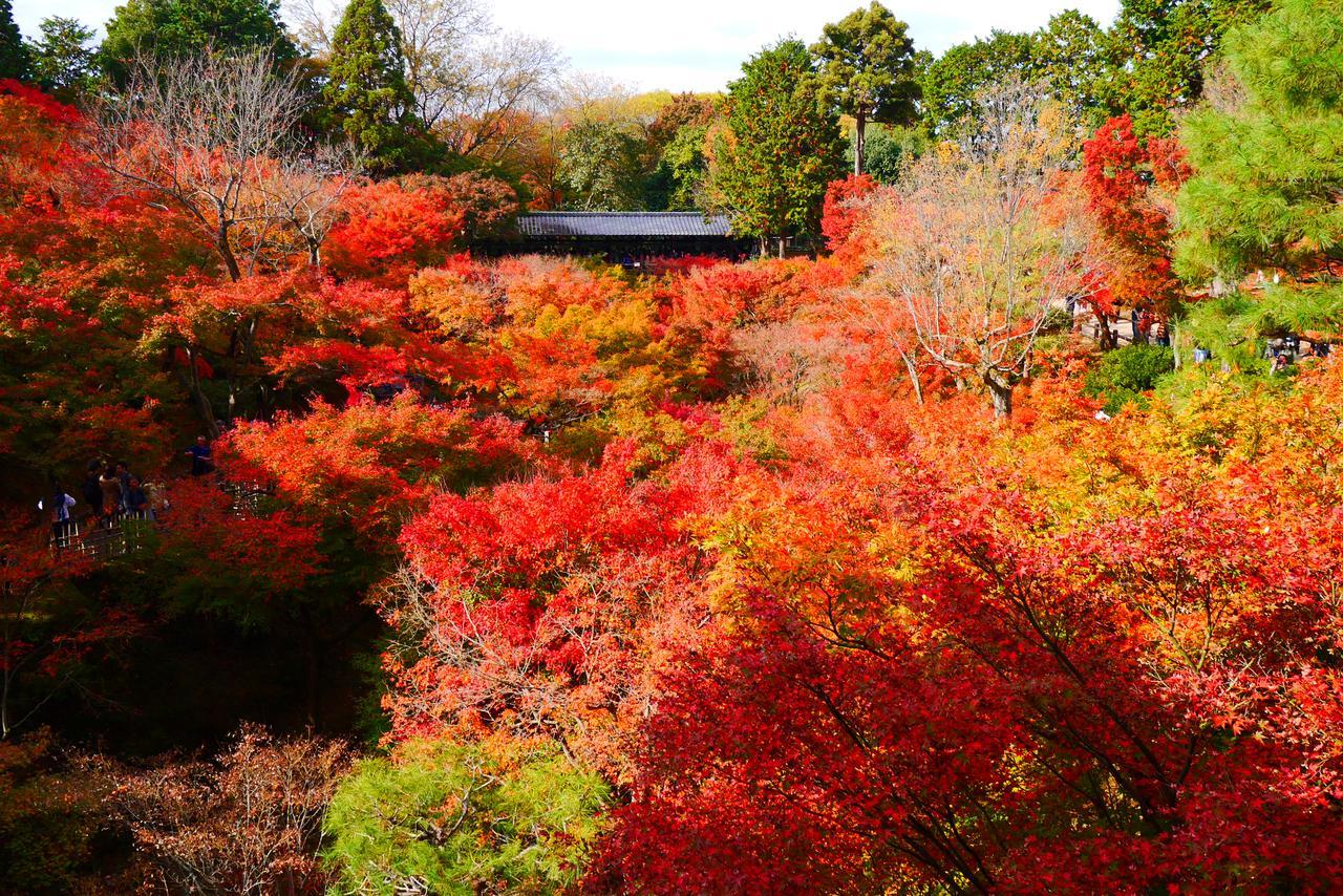 Japaning Hotel Libre Tofukuji Quioto Exterior foto